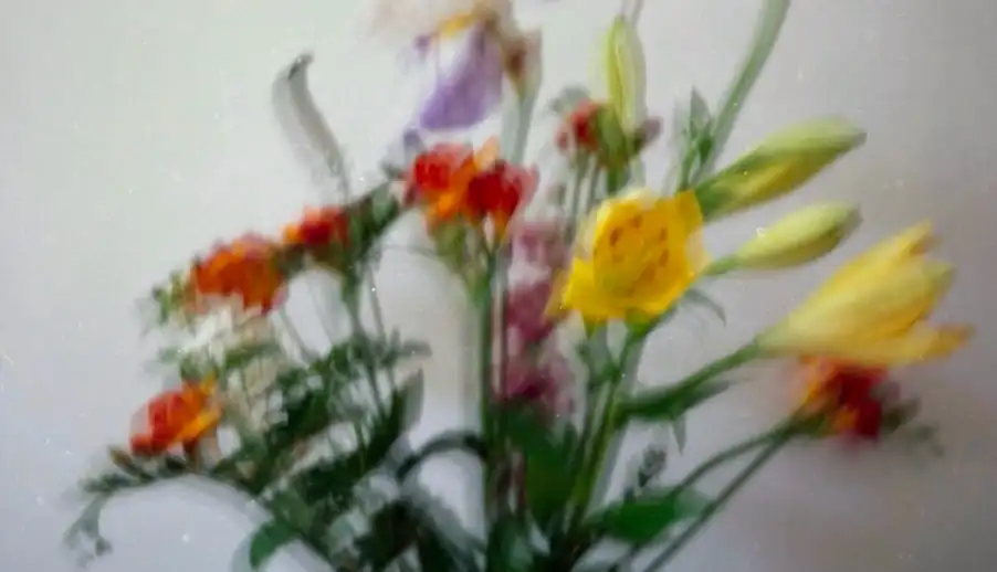 IL FAUT CHANGER L’EAU DES FLEURS